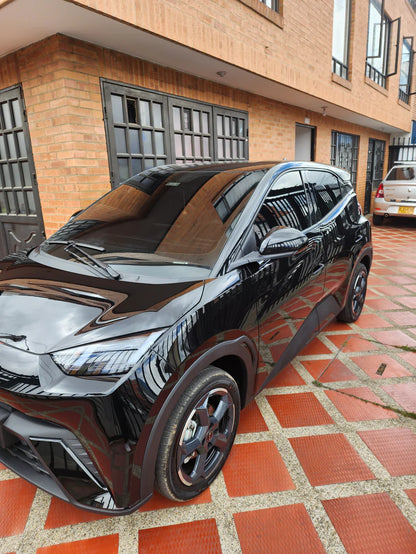 Porcelanizador De Pintura Para Vehiculos