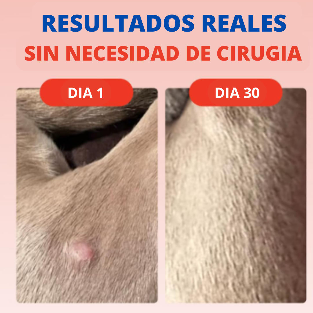 Turkey tail™ – Adiós a los bultos y enfermedades digestivas de tu perro
